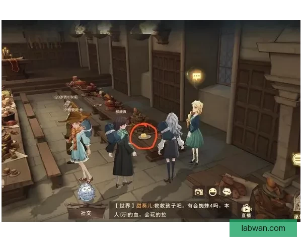 拼图寻宝：一场充满惊喜与挑战的冒险之旅